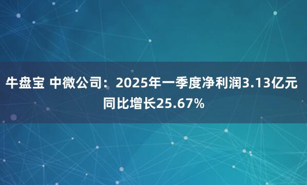 牛盘宝 中微公司：2025年一季度净利润3.13亿元 同比增长25.67%