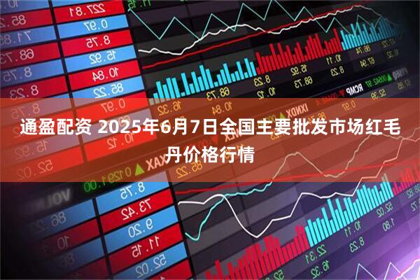 通盈配资 2025年6月7日全国主要批发市场红毛丹价格行情